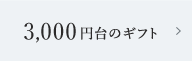 3,000円台のギフト